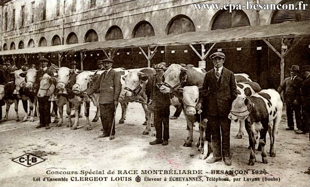 Concours Spécial de RACE MONTBÉLIARDE - BESANÇON 1926 - Lot d'Ensemble CLERGEOT LOUIS - Éleveur à ÉCHEVANNES, Téléphone, par Lavans (Doubs)